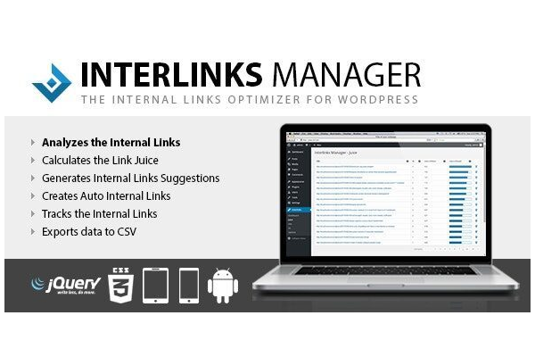 interlinks manager 1 35